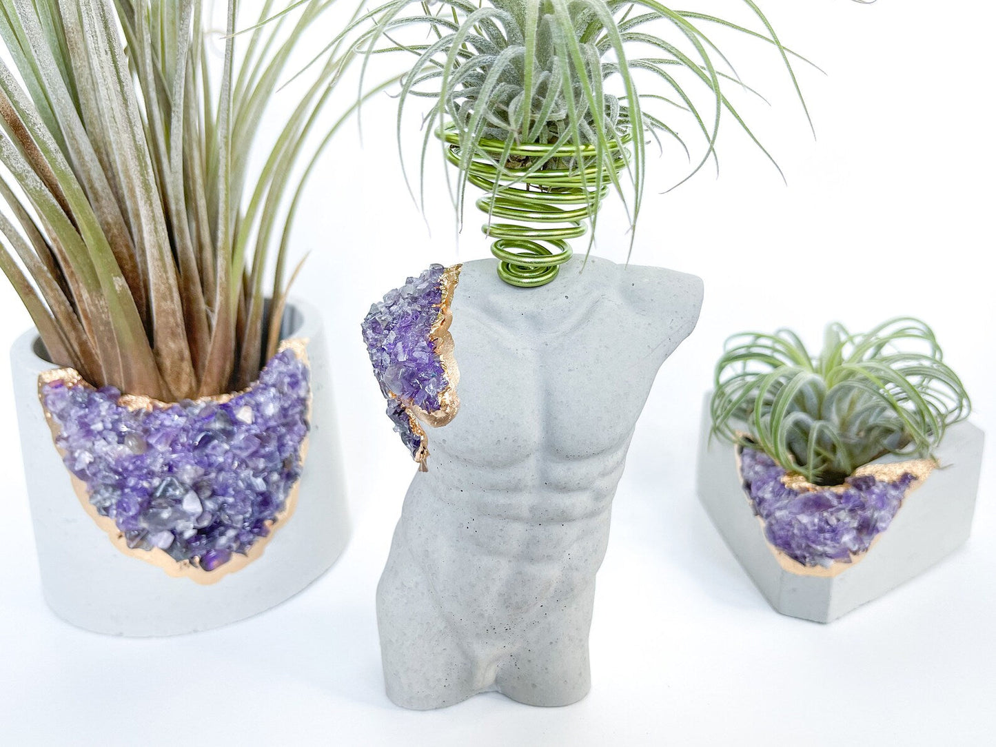 MALE BODY AIR PLANT HOLDER - Concordia Style Boutique