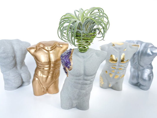 MALE BODY AIR PLANT HOLDER - Concordia Style Boutique