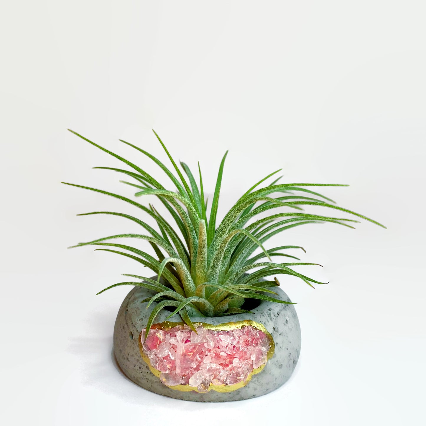 Geode Air Plant Holder -Rose Quartz Crystal Planter - Concordia Style Boutique