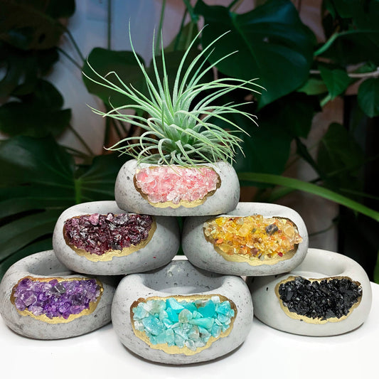 Geode Air Plant Holder -Amazonite Crystal Planter - Concordia Style Boutique