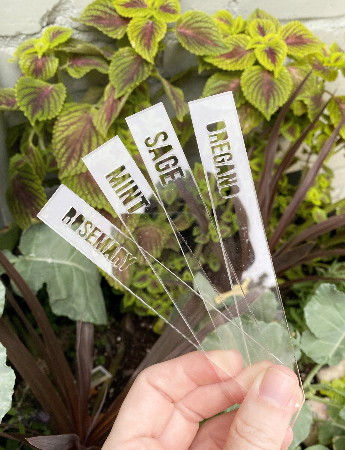 Acrylic Plant Markers Set