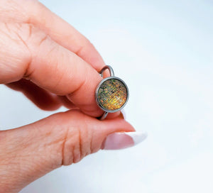 Descriptive image text