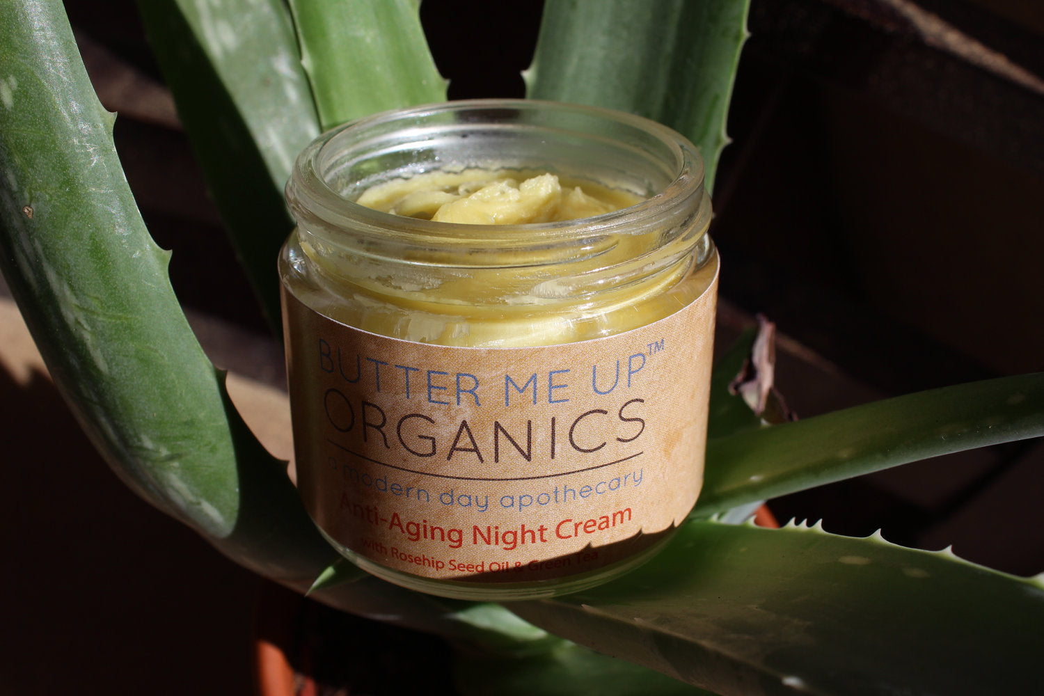 Anti Aging Night Cream Face Moisturizer Organic Green Tea - Concordia Style Boutique