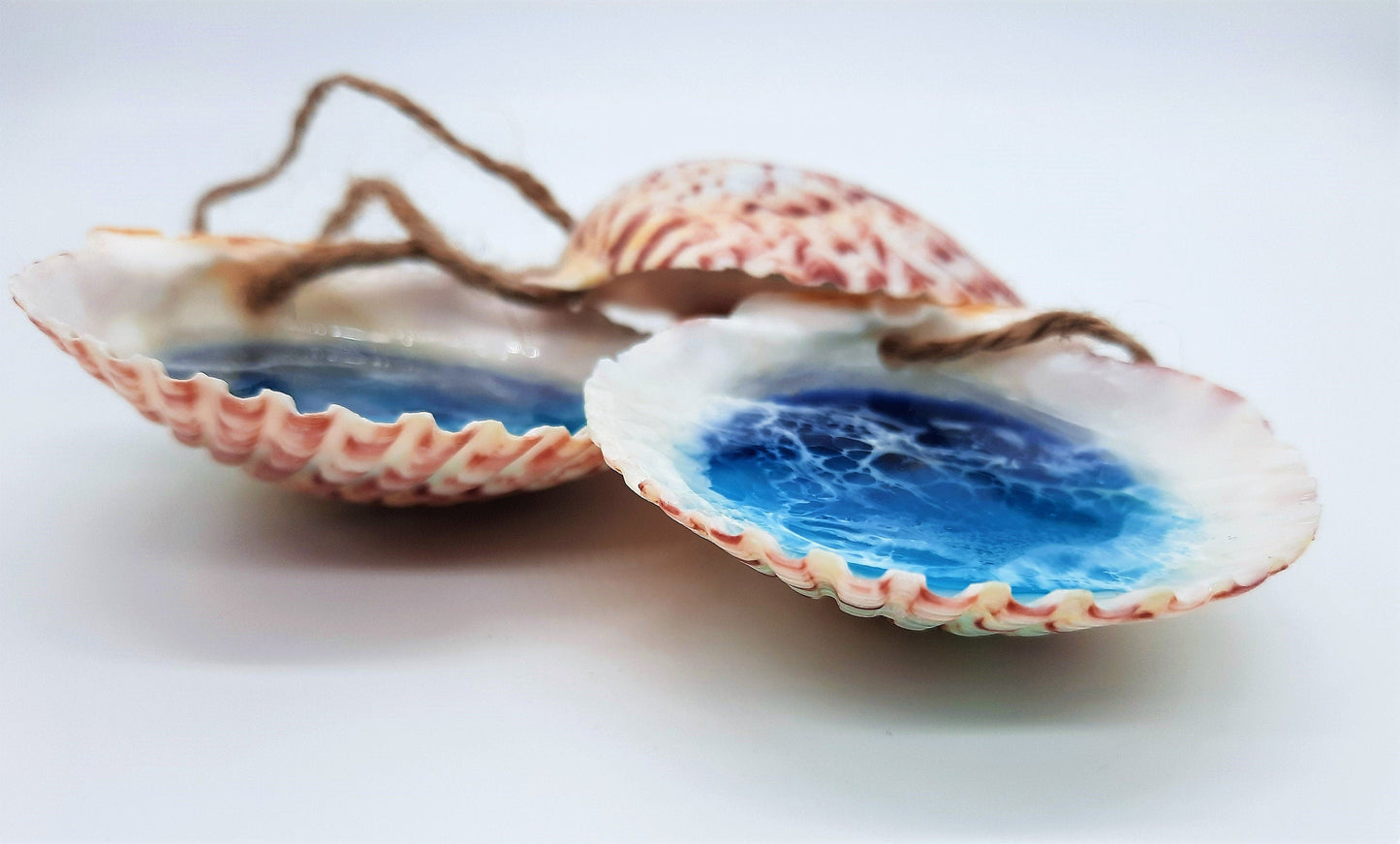 Resin Seascape Scallop Seashell Ornament