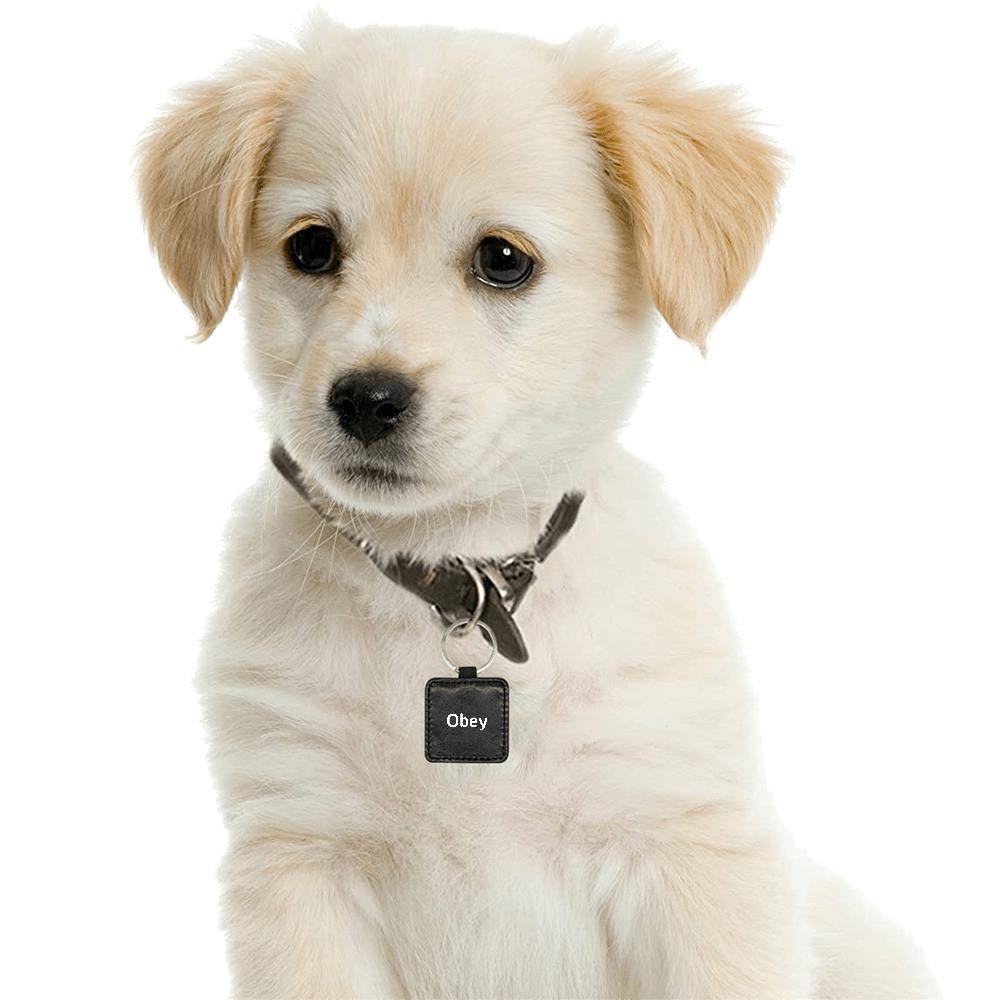 Square Pet ID Tag - "Obey" - Premium Pet Tag from Concordia Style Boutique - Just $15.12! Shop now at Concordia Style Boutique