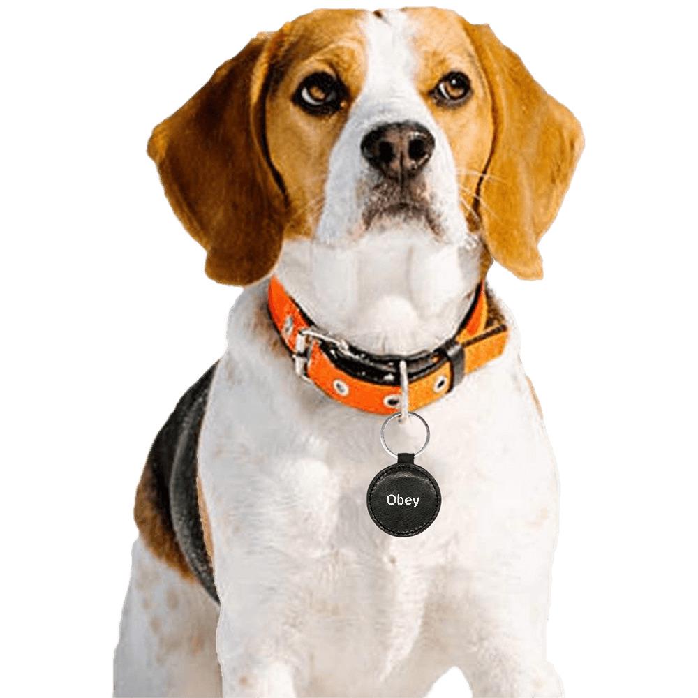 Round Pet ID Tag - "Obey" - Premium Pet Tag from Concordia Style Boutique - Just $15.42! Shop now at Concordia Style Boutique