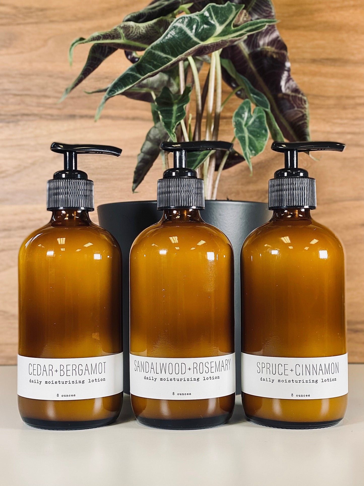 Daily Moisturizing Lotion - Woodsy - Concordia Style Boutique