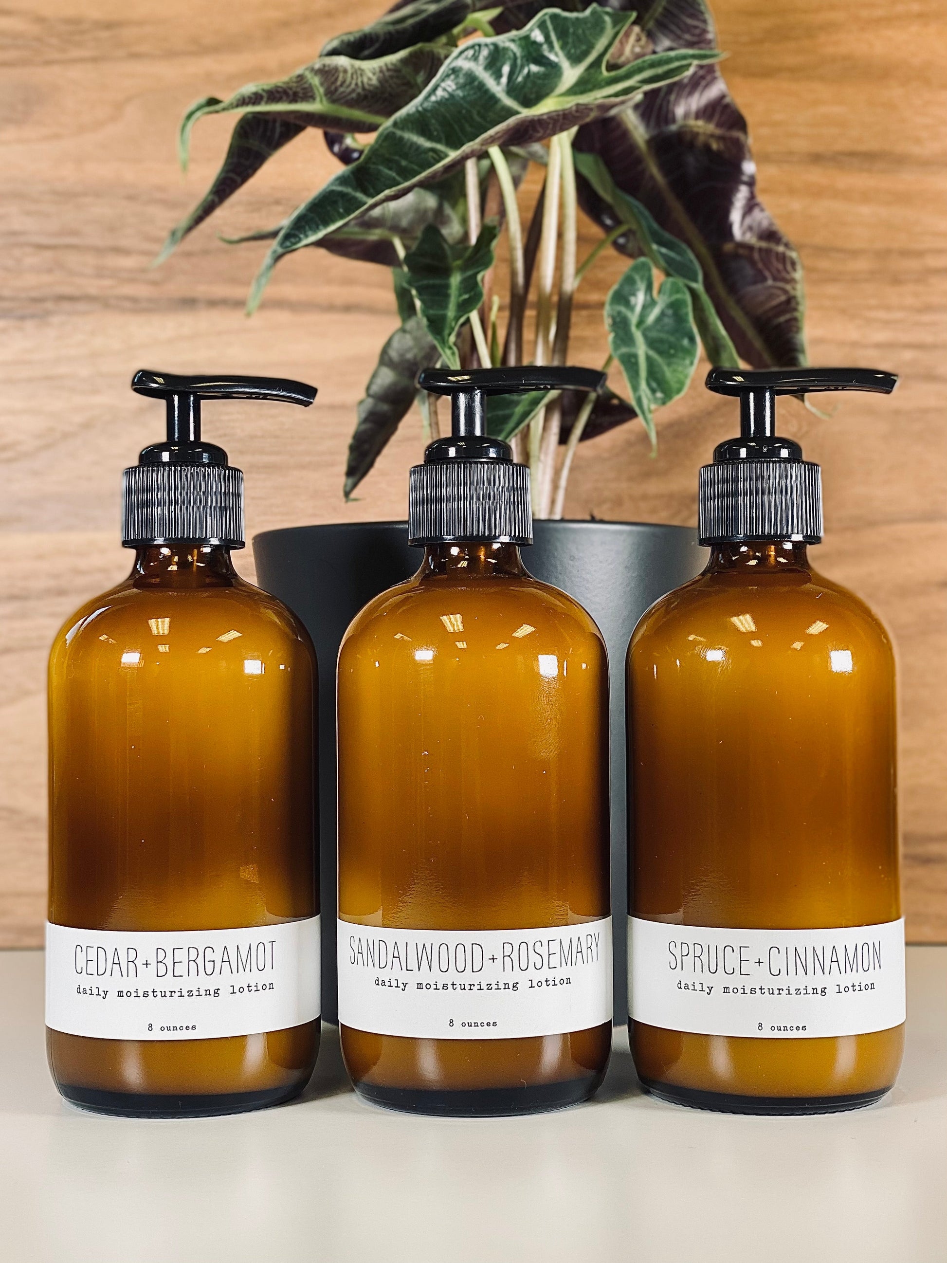 Daily Moisturizing Lotion - Woodsy - Concordia Style Boutique