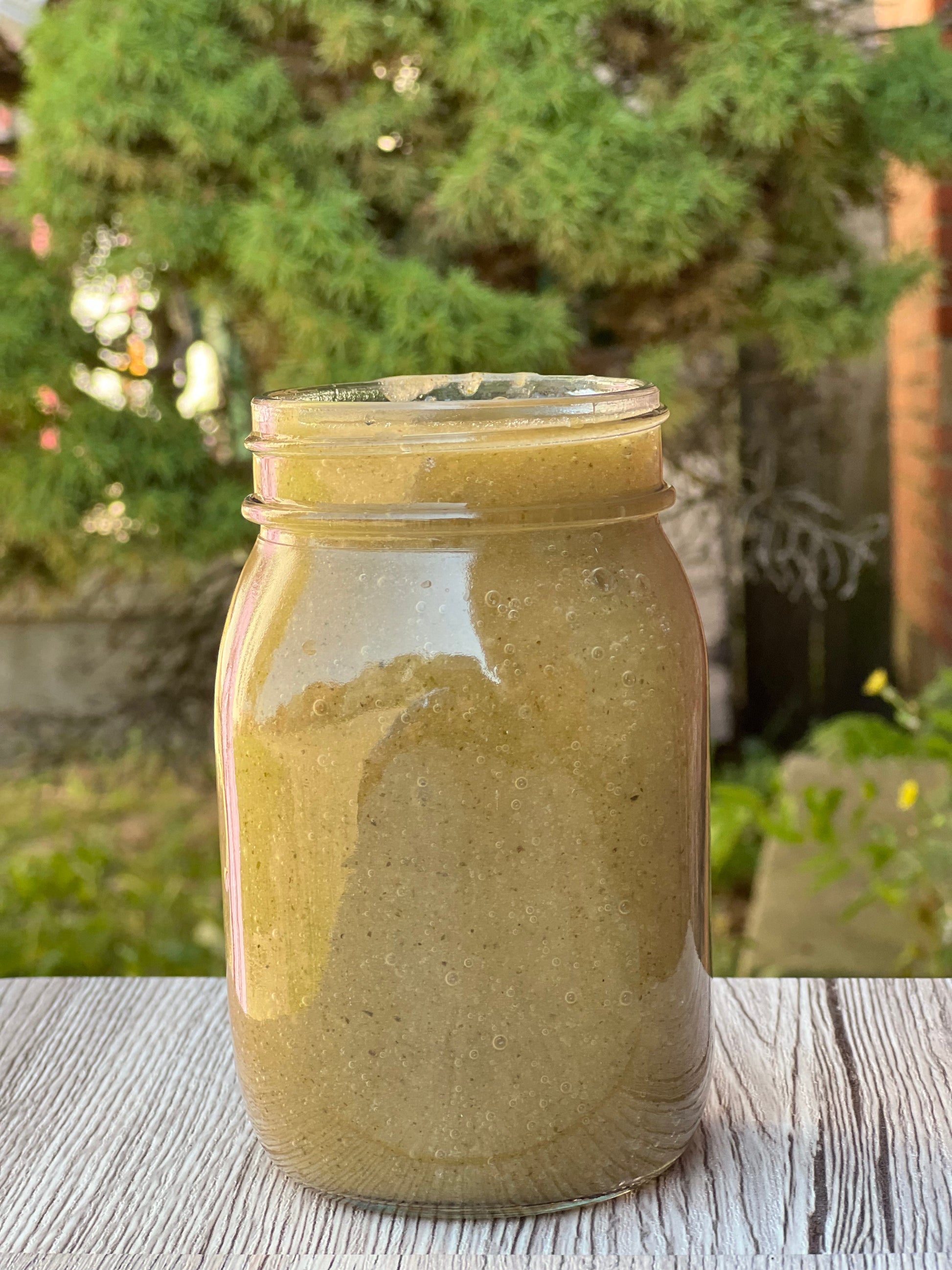 Premium Sea Moss Gel with Bladderwrack & Burdock root - Concordia Style Boutique