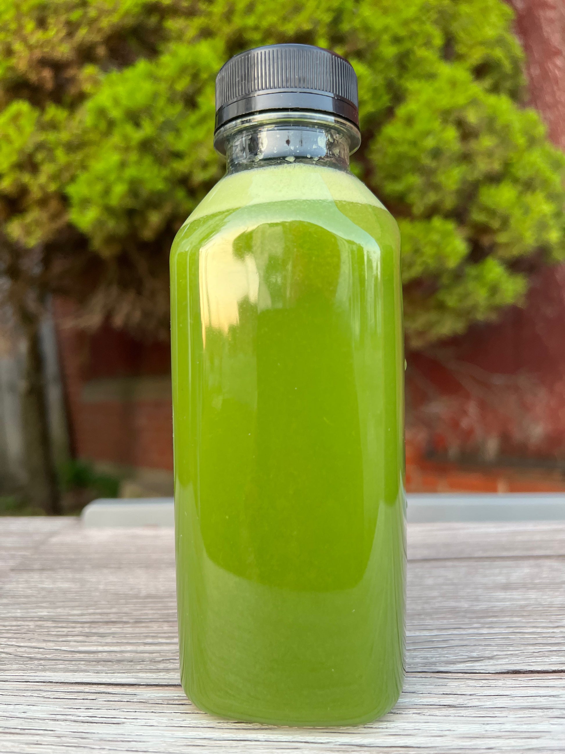 Gut Health Juice - Green Juice - Concordia Style Boutique