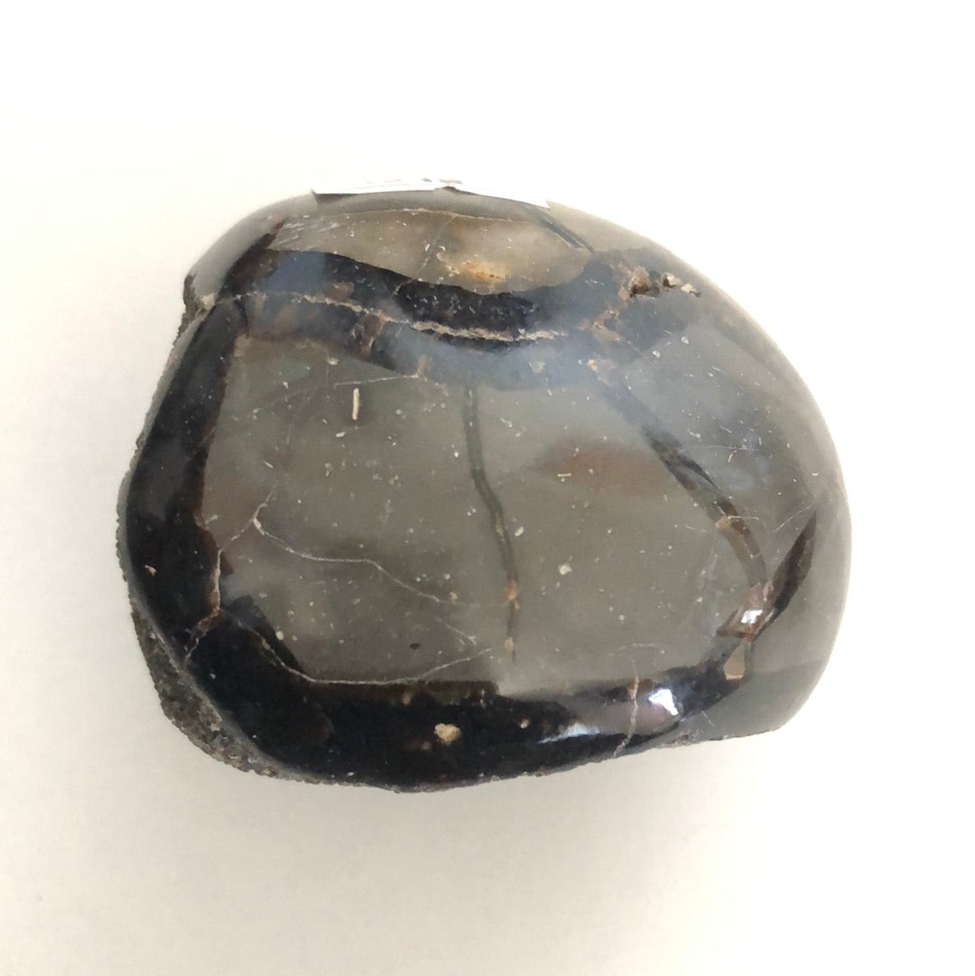 Septarian Dragon egg - Concordia Style Boutique