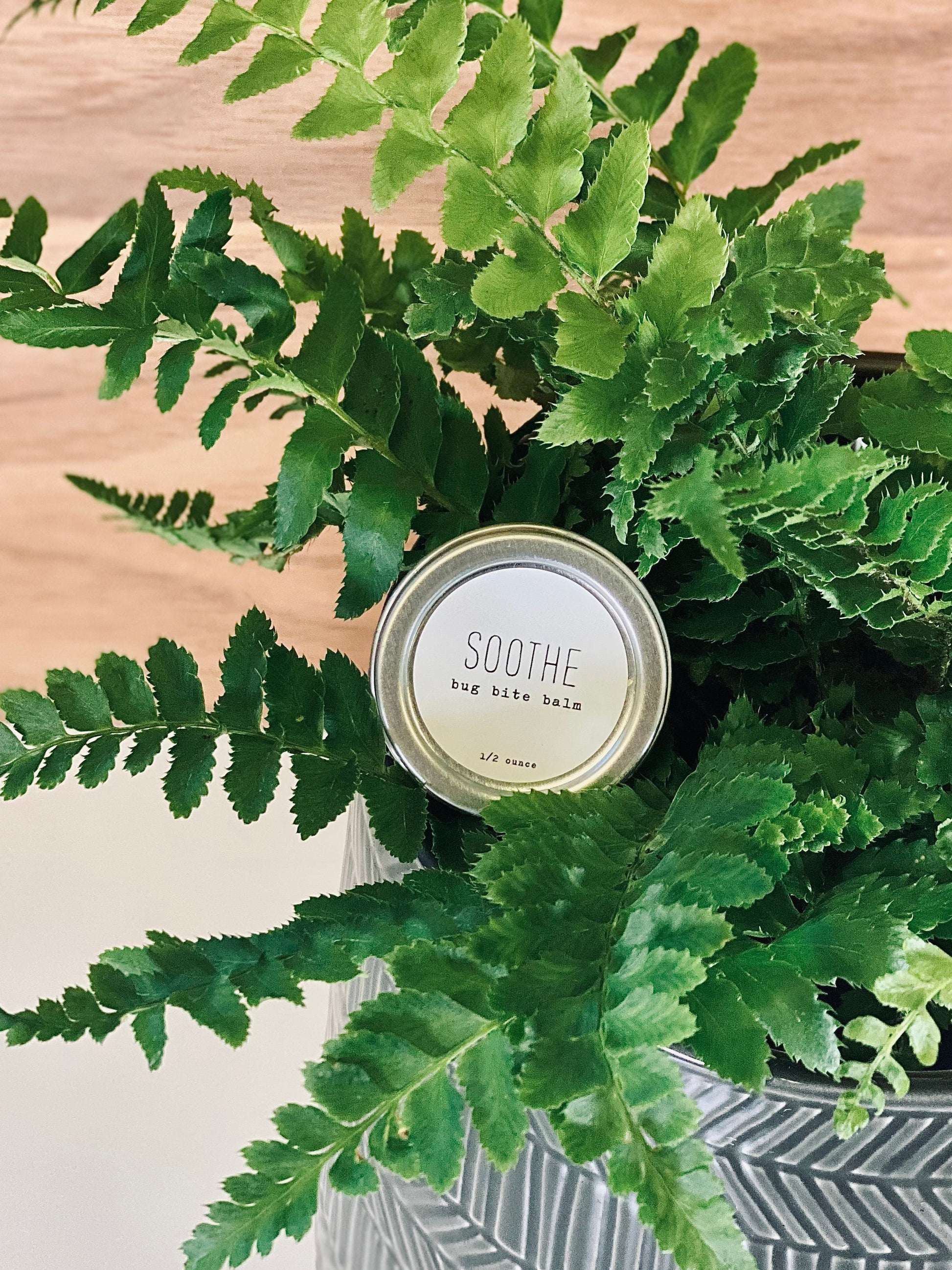 Soothe - Bug Bite Balm - Concordia Style Boutique