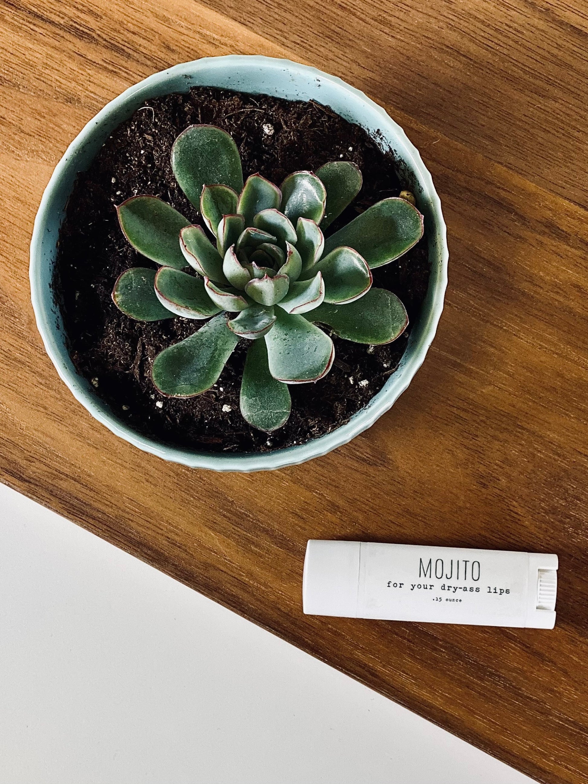 Lip Balm - Sweary - Mojito - Concordia Style Boutique