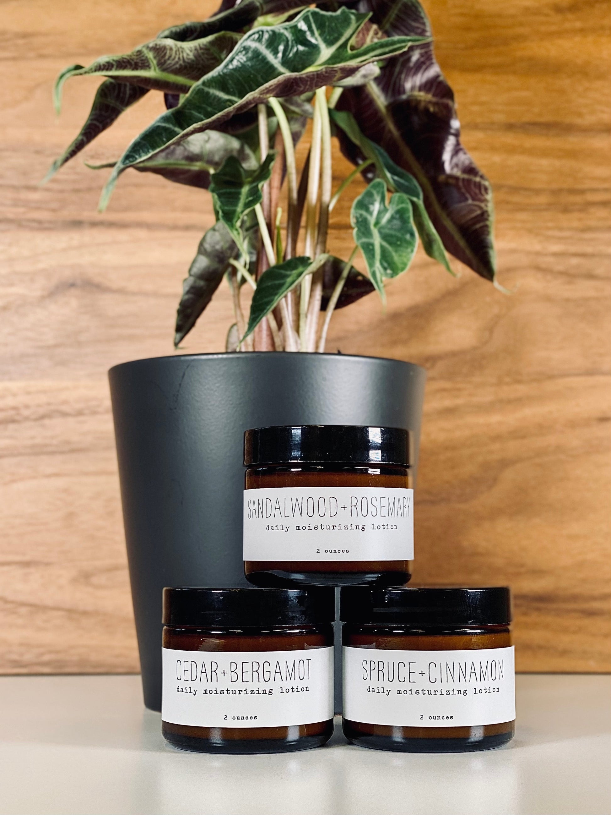 Daily Moisturizing Lotion - Woodsy - Concordia Style Boutique