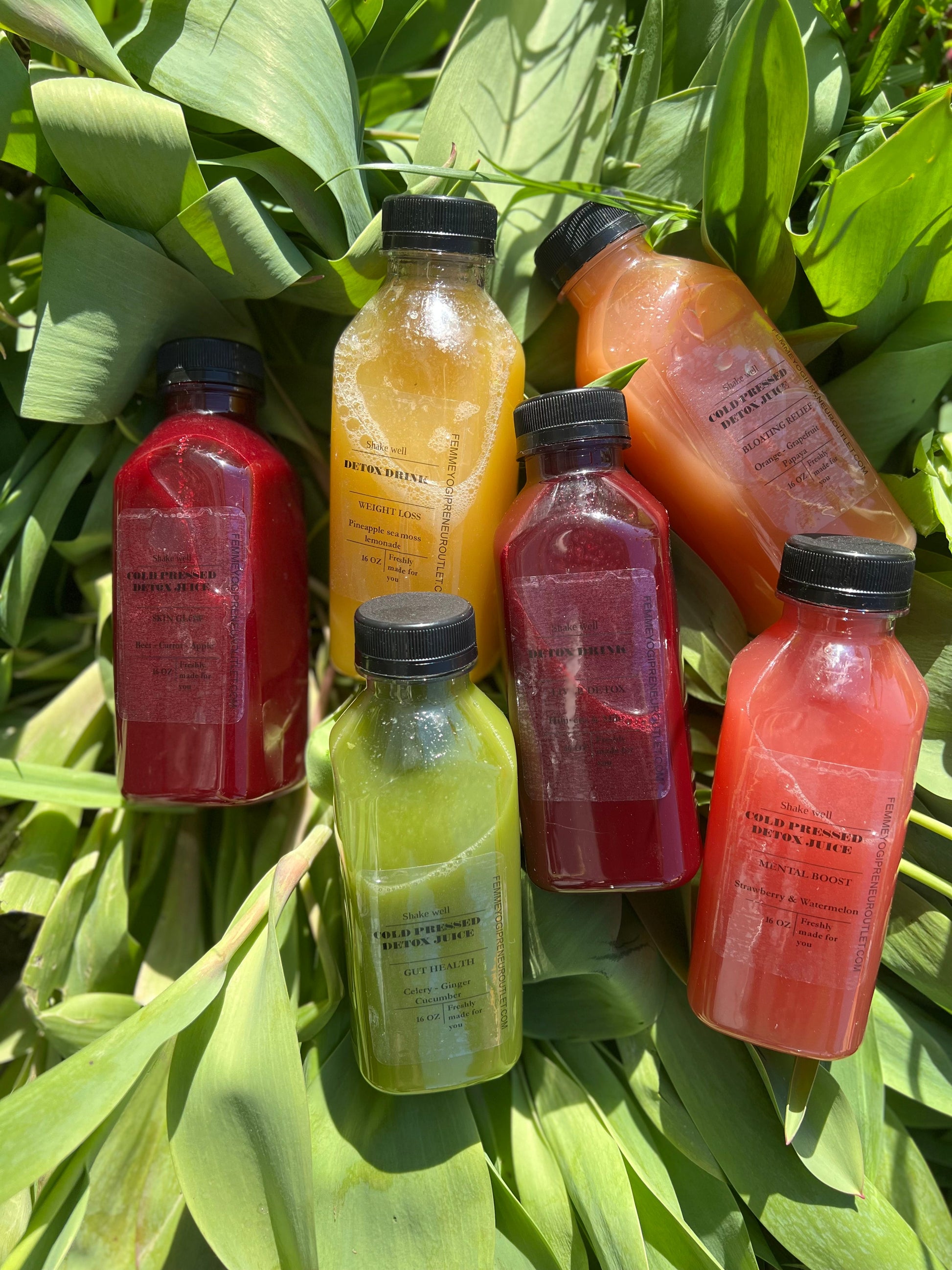 Bloating relief Juice- Organic - Concordia Style Boutique