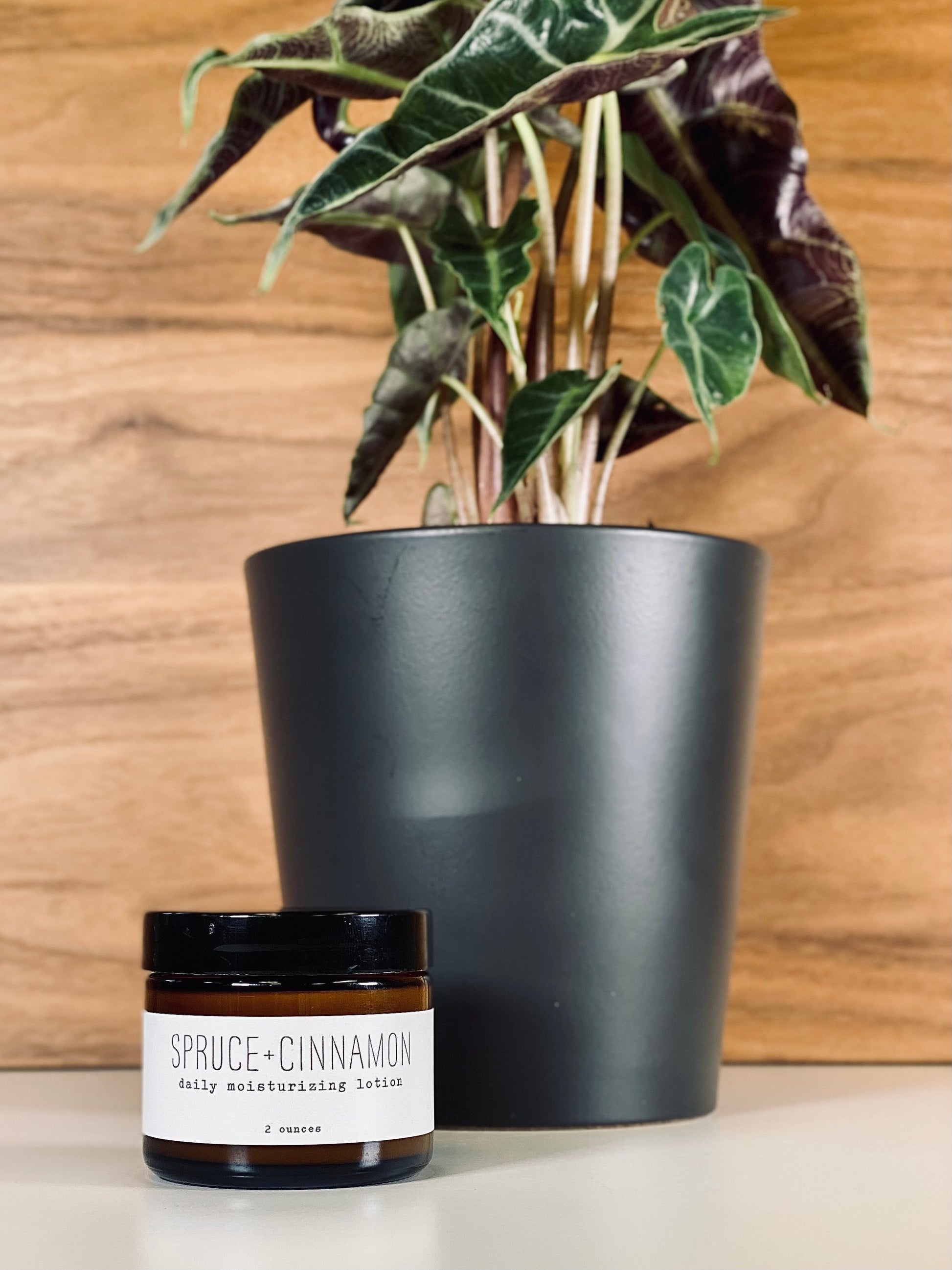 Daily Moisturizing Lotion - Woodsy - Concordia Style Boutique