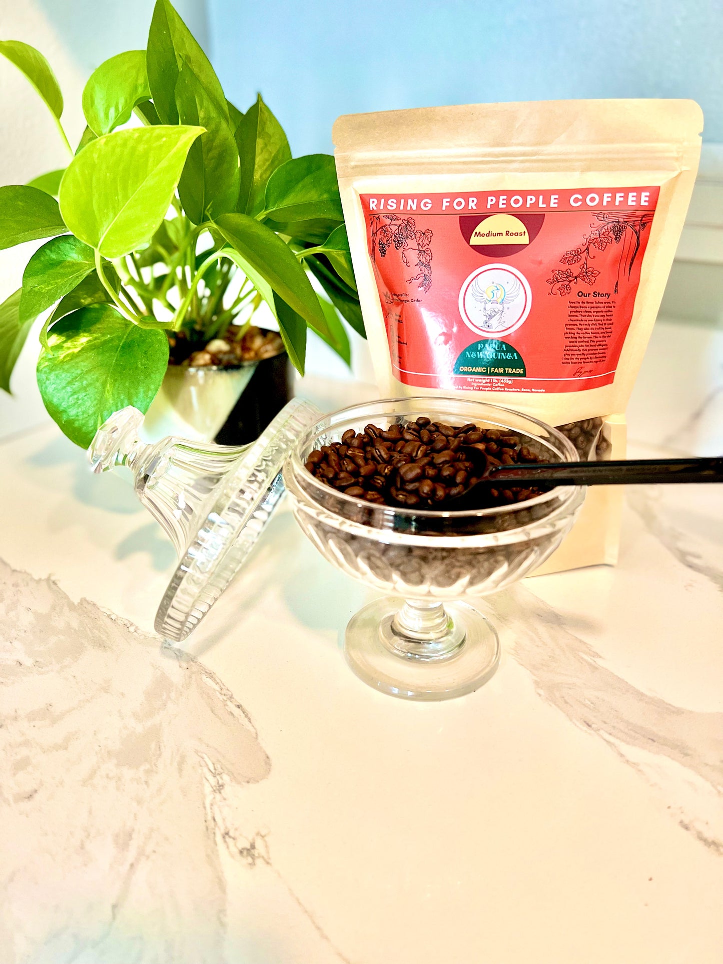Papua New Guinea Coffee Roast - Concordia Style Boutique