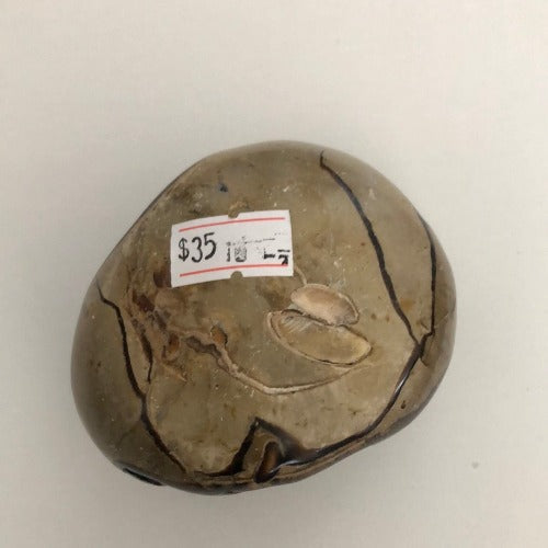 Septarian Dragon egg - Concordia Style Boutique