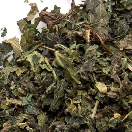 Stinging Nettle leaf - Concordia Style Boutique