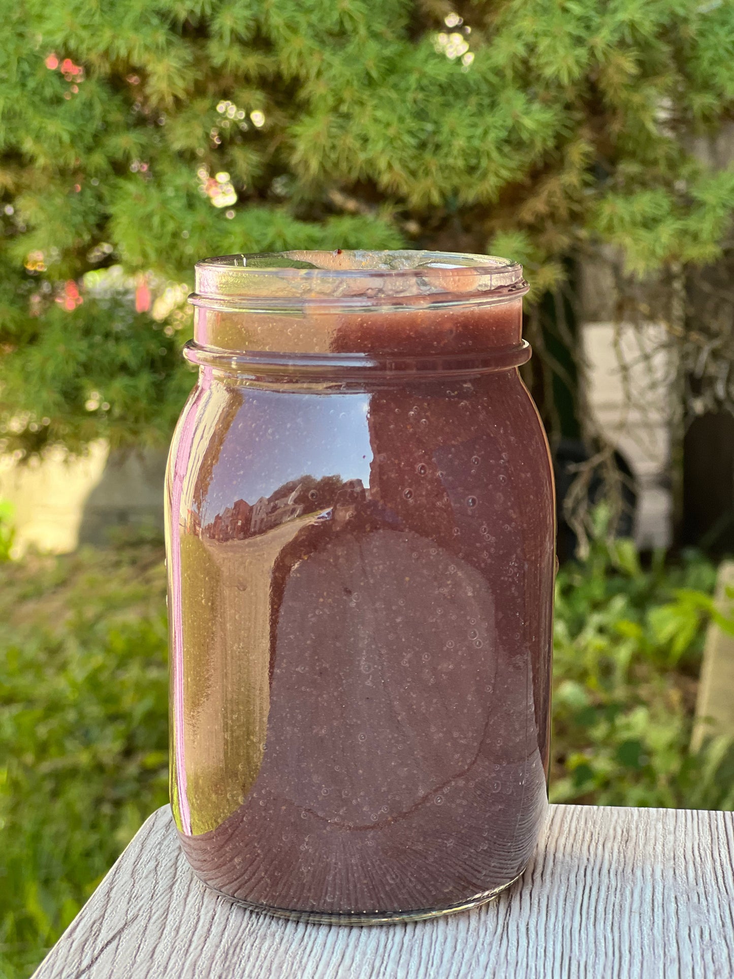 Elderberry infused Sea Moss Gel - Concordia Style Boutique