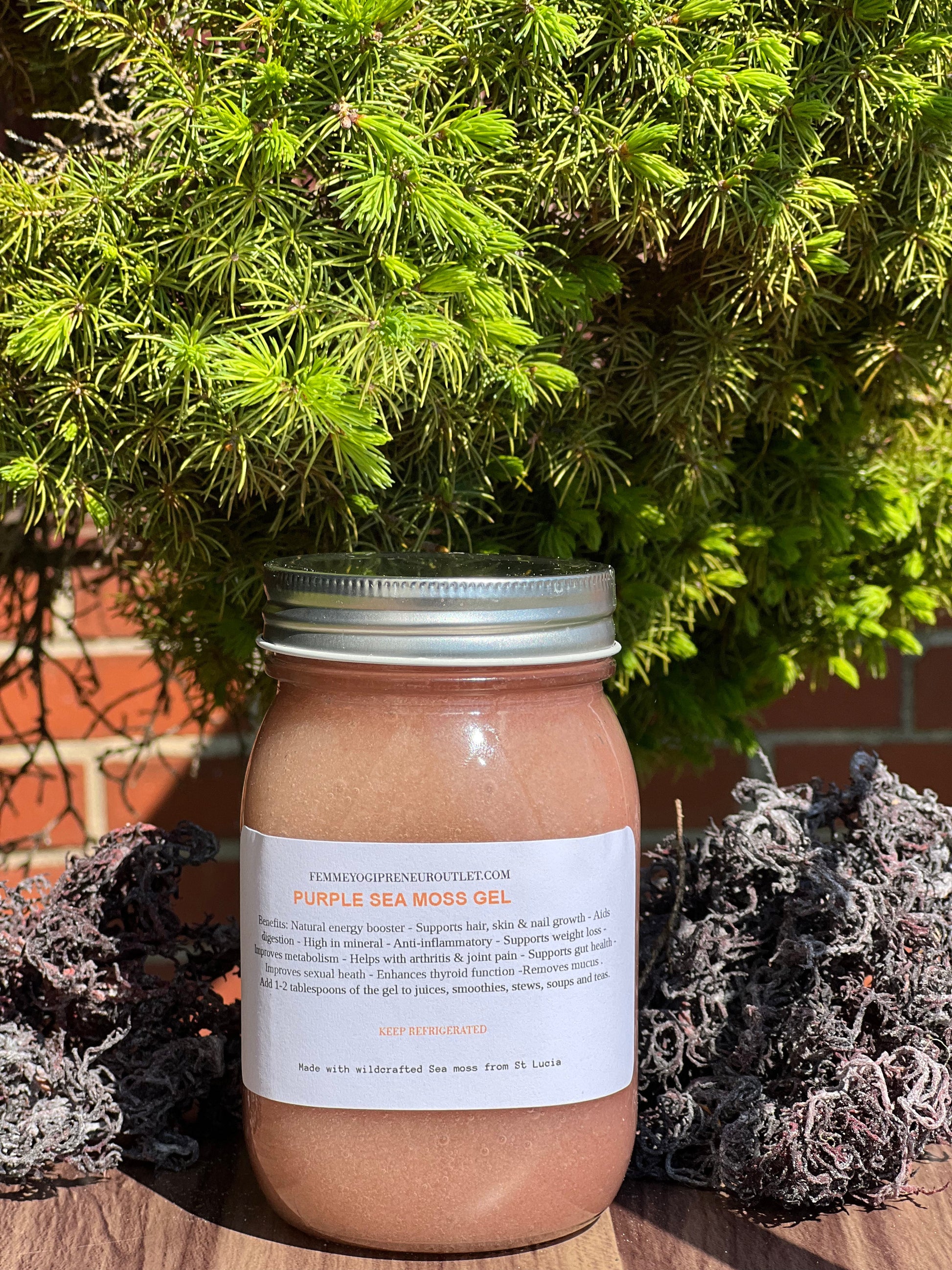 Exclusive Purple Sea Moss Gel - Full Spectrum - Concordia Style Boutique