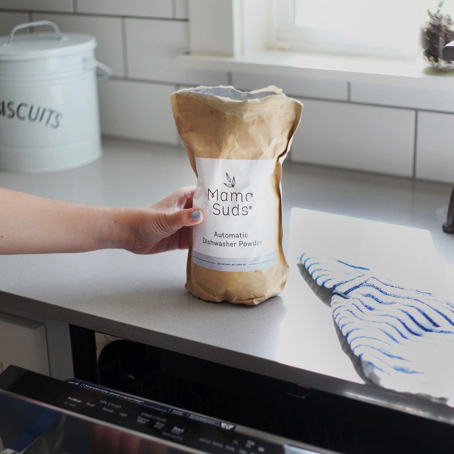 Automatic Dishwasher Powder | Nontoxic and Eco-Friendly - Concordia Style Boutique