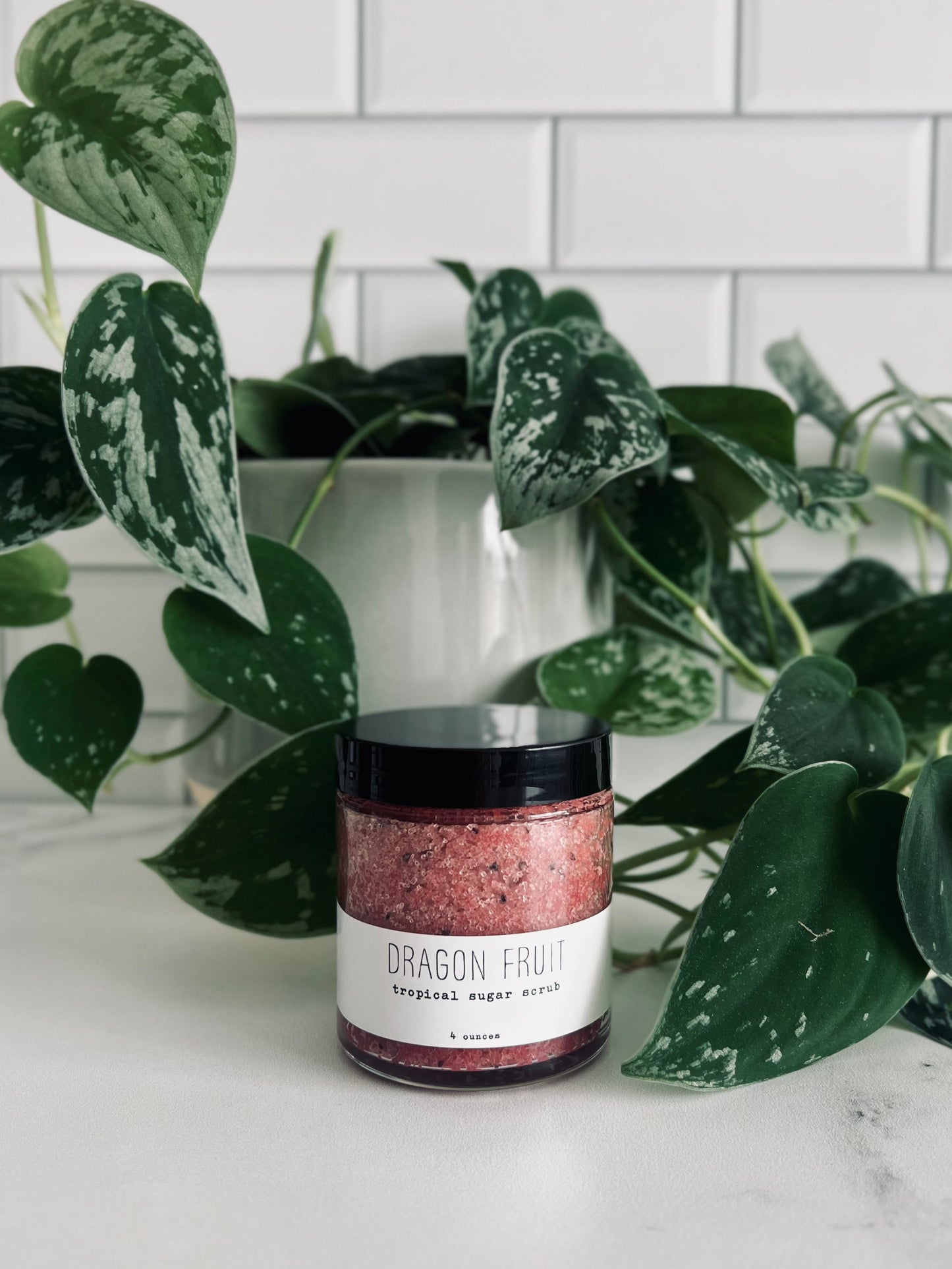 Dragon Fruit - tropical sugar scrub - Concordia Style Boutique