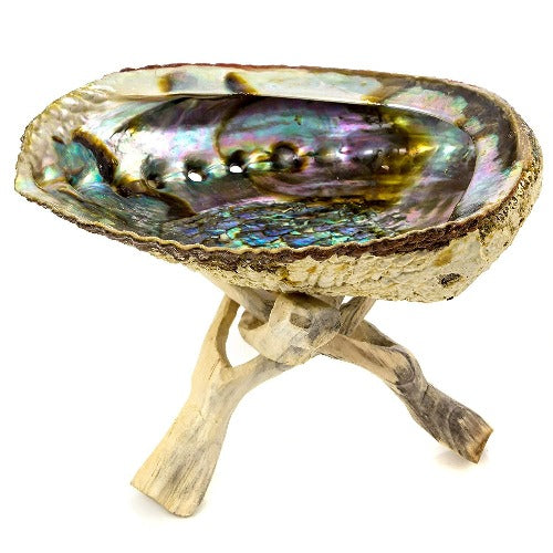 Abalone shell stand with sage smudge - Concordia Style Boutique