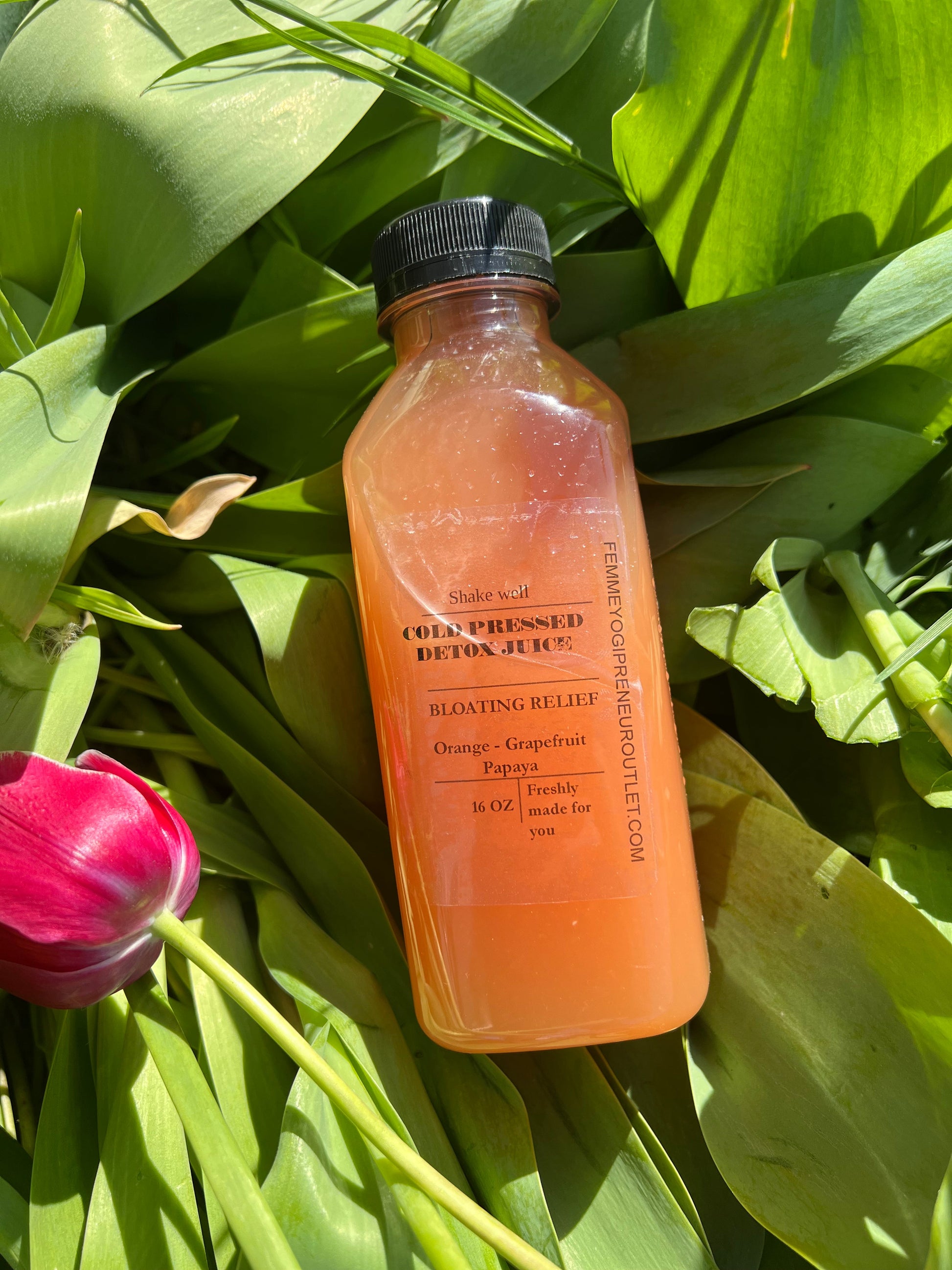 Bloating relief Juice- Organic - Concordia Style Boutique