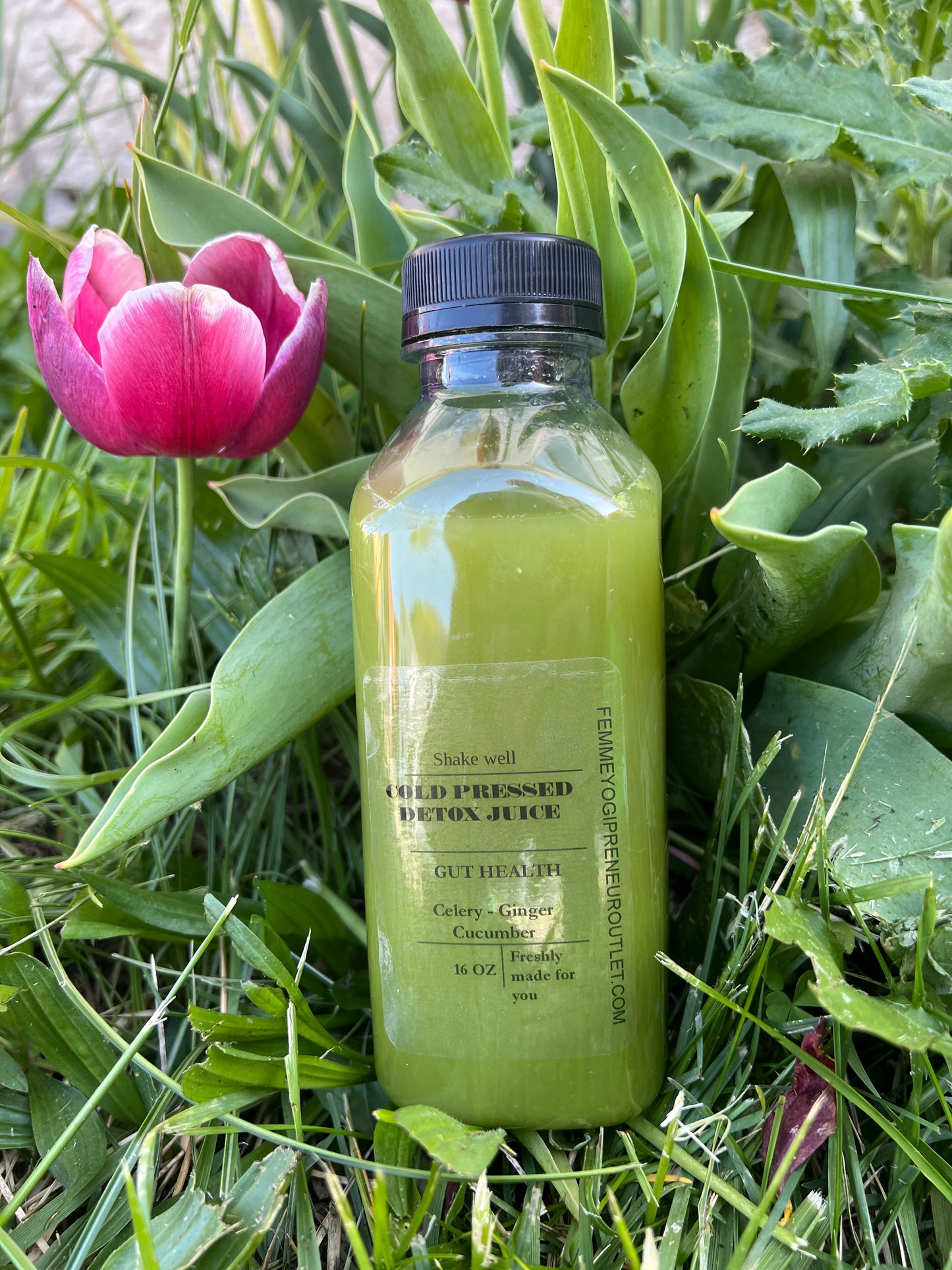 Gut Health Juice - Green Juice - Concordia Style Boutique