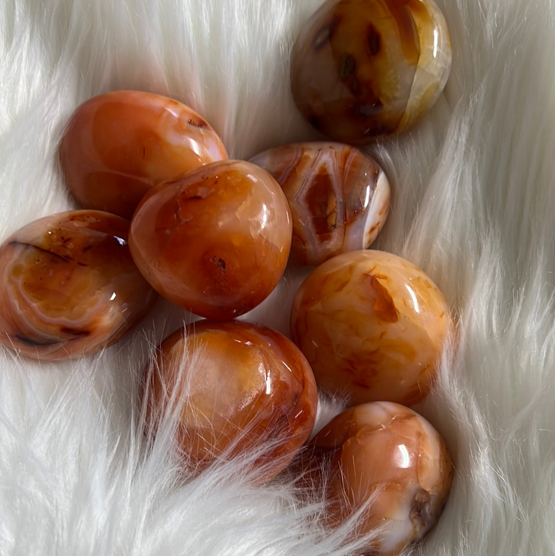 Carnelian Tumble stones - Concordia Style Boutique