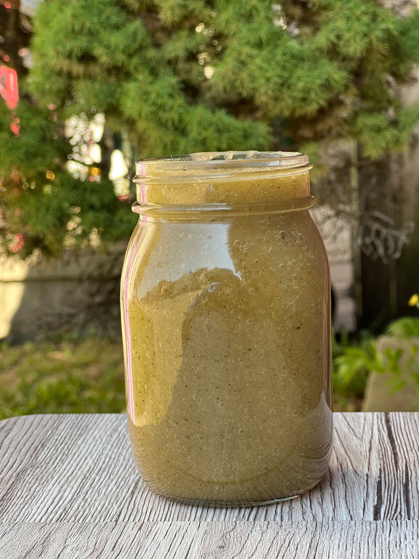 Bladderwrack Sea Moss Gel - "Dr Sebi" Inspired - Premium Herbal Supplement from WHOLIFECO - Just $22.22! Shop now at Concordia Style Boutique