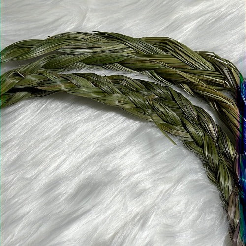 Braided Sweetgrass bundles - Vanilla grass 18 inches - Concordia Style Boutique