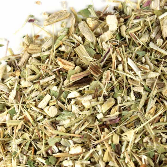 Echinacea Purpurea Herb - Concordia Style Boutique