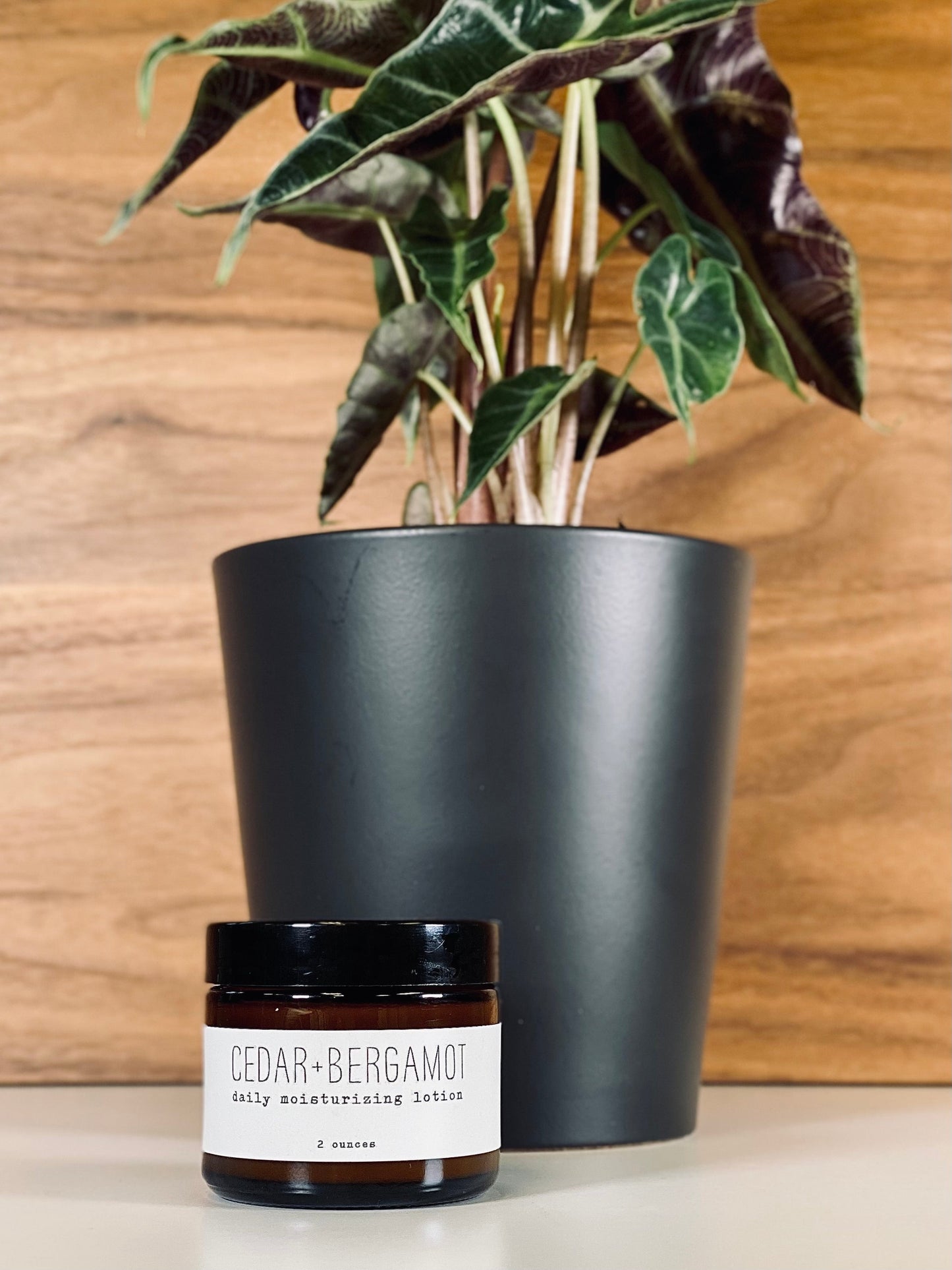 Daily Moisturizing Lotion - Woodsy - Concordia Style Boutique