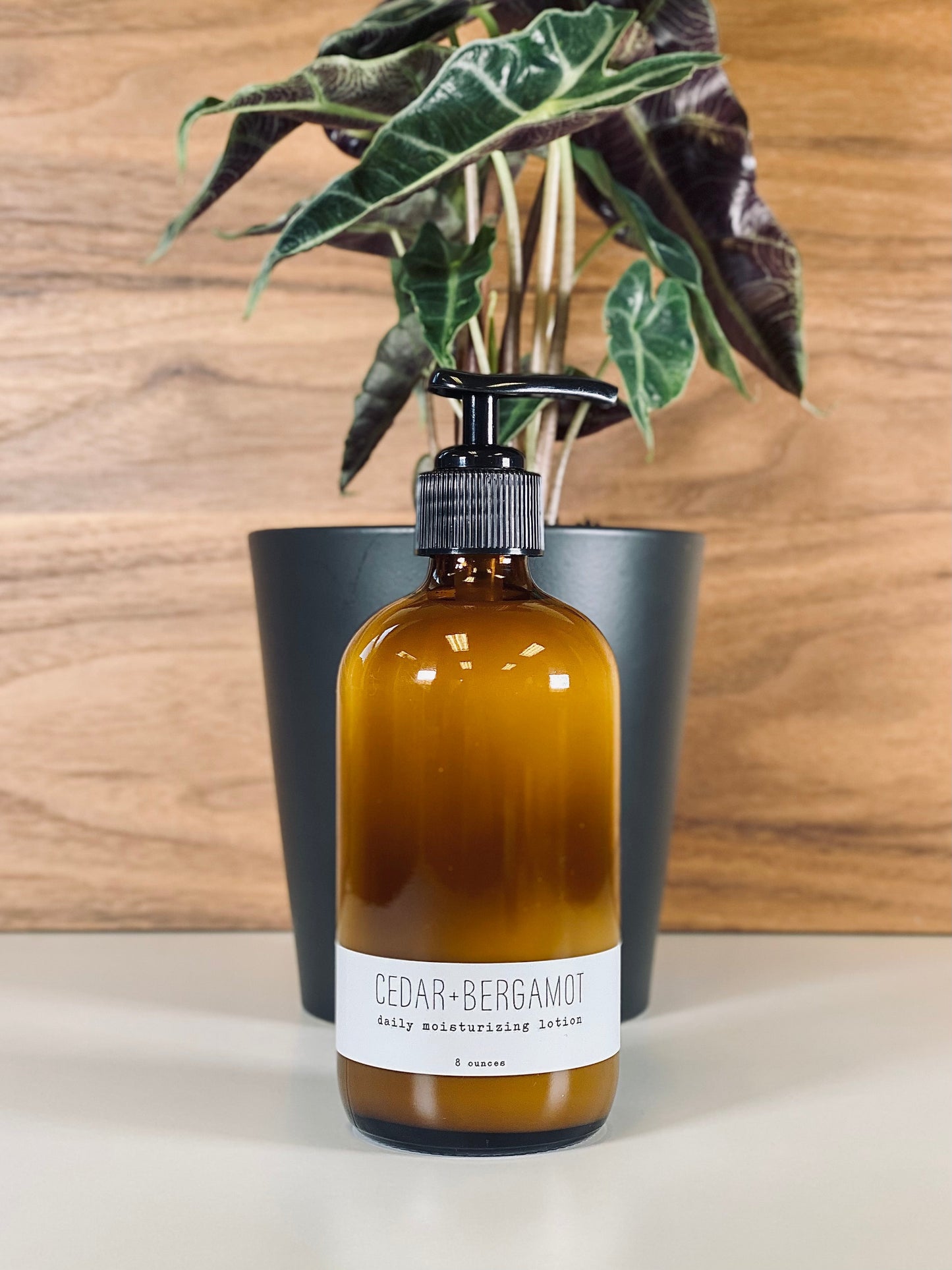 Daily Moisturizing Lotion - Woodsy - Concordia Style Boutique