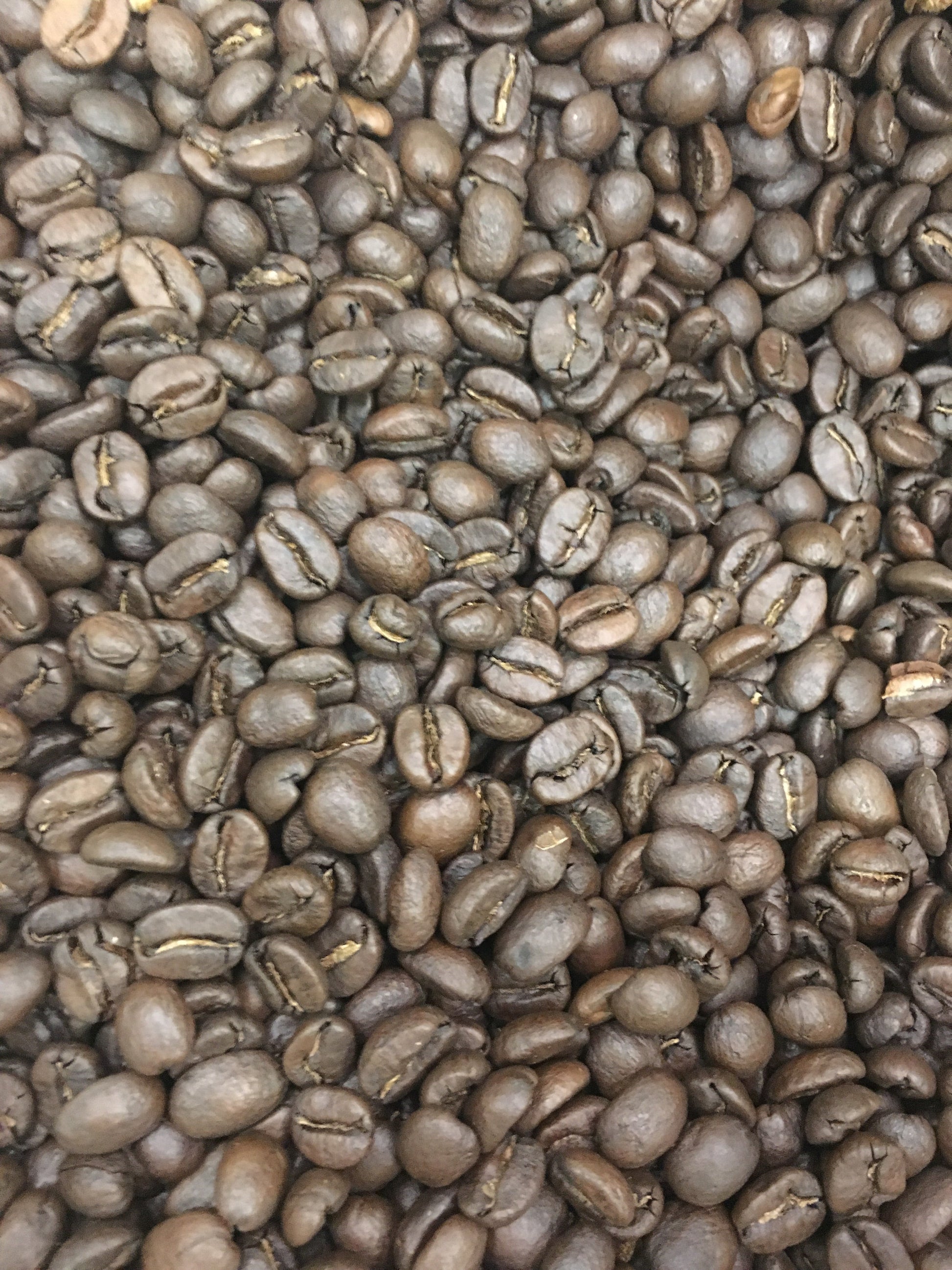 Bourbon Infused with Southern Star Bourbon | Medium Craft Roasted Coffee - Concordia Style Boutique