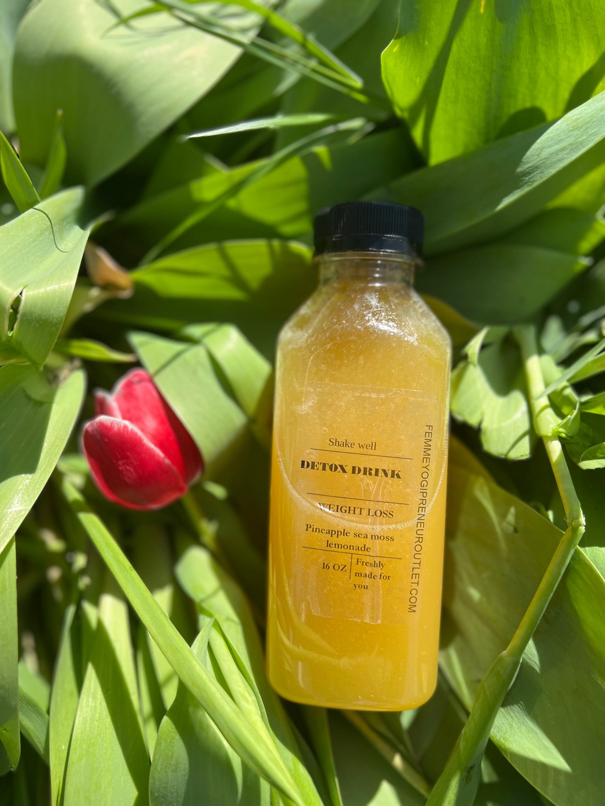 Pineapple Sea Moss Lemonade - Weight Loss Juice - Concordia Style Boutique