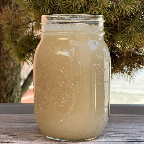 Wildcrafted Plain Sea moss Gel - Concordia Style Boutique