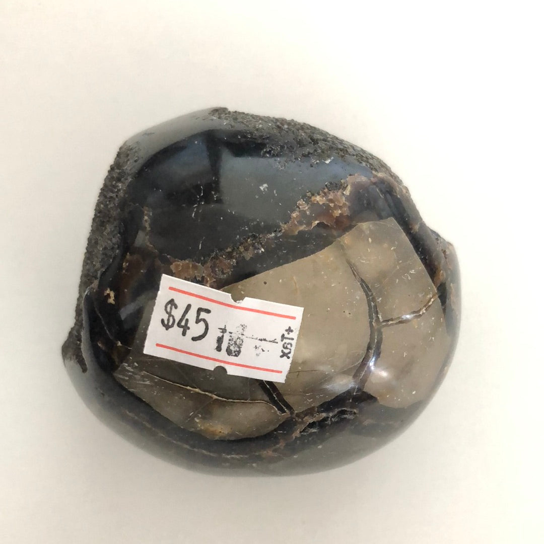 Septarian Dragon egg - Concordia Style Boutique