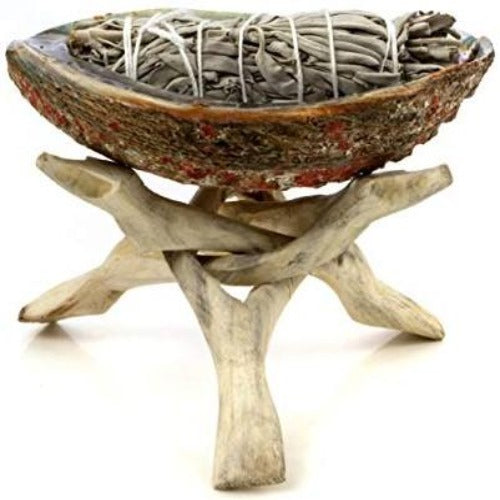 Abalone shell stand with sage smudge - Concordia Style Boutique