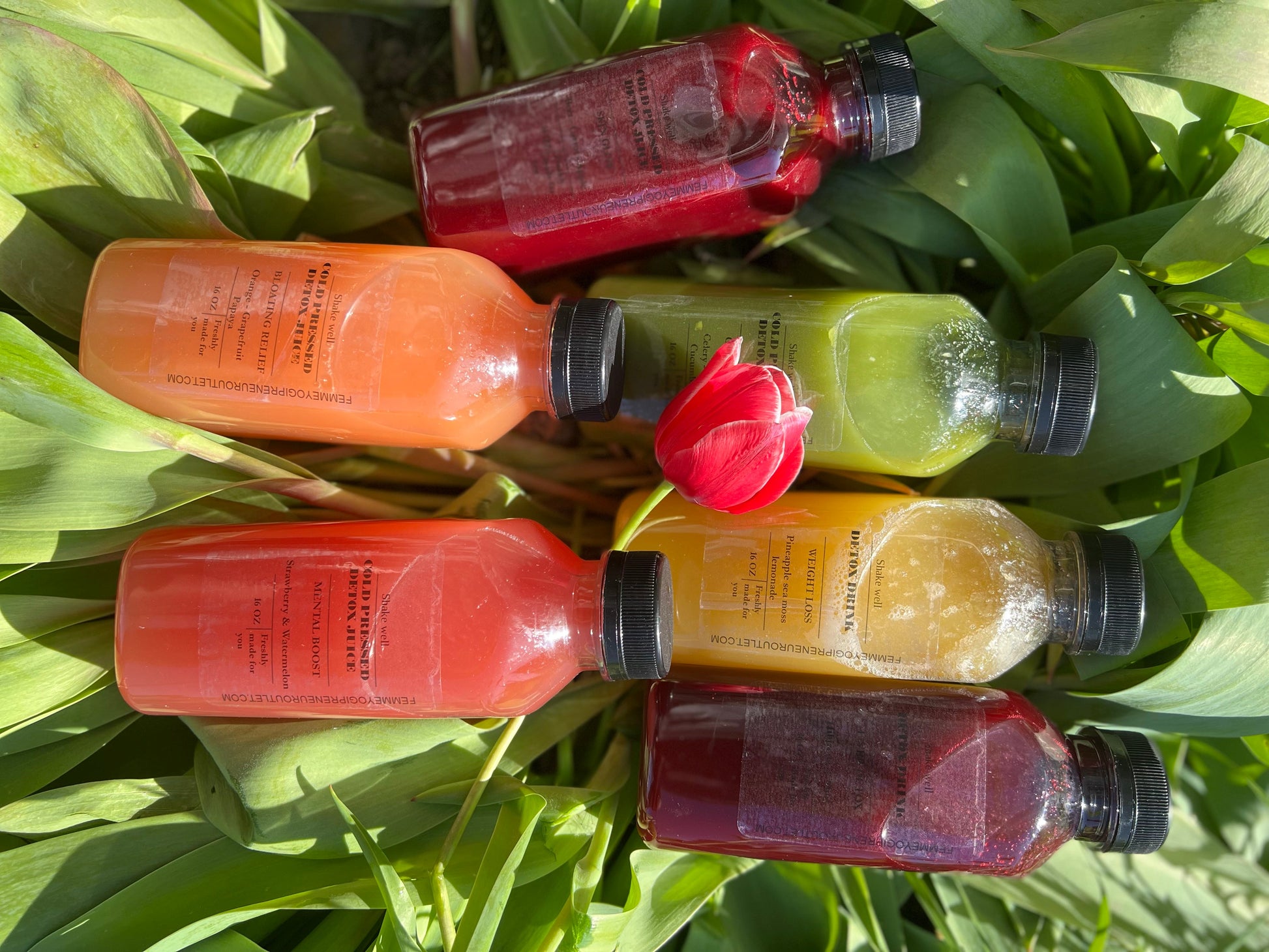 Pineapple Sea Moss Lemonade - Weight Loss Juice - Concordia Style Boutique