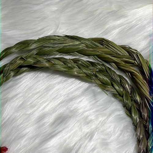 Braided Sweetgrass bundles - Vanilla grass 18 inches - Concordia Style Boutique