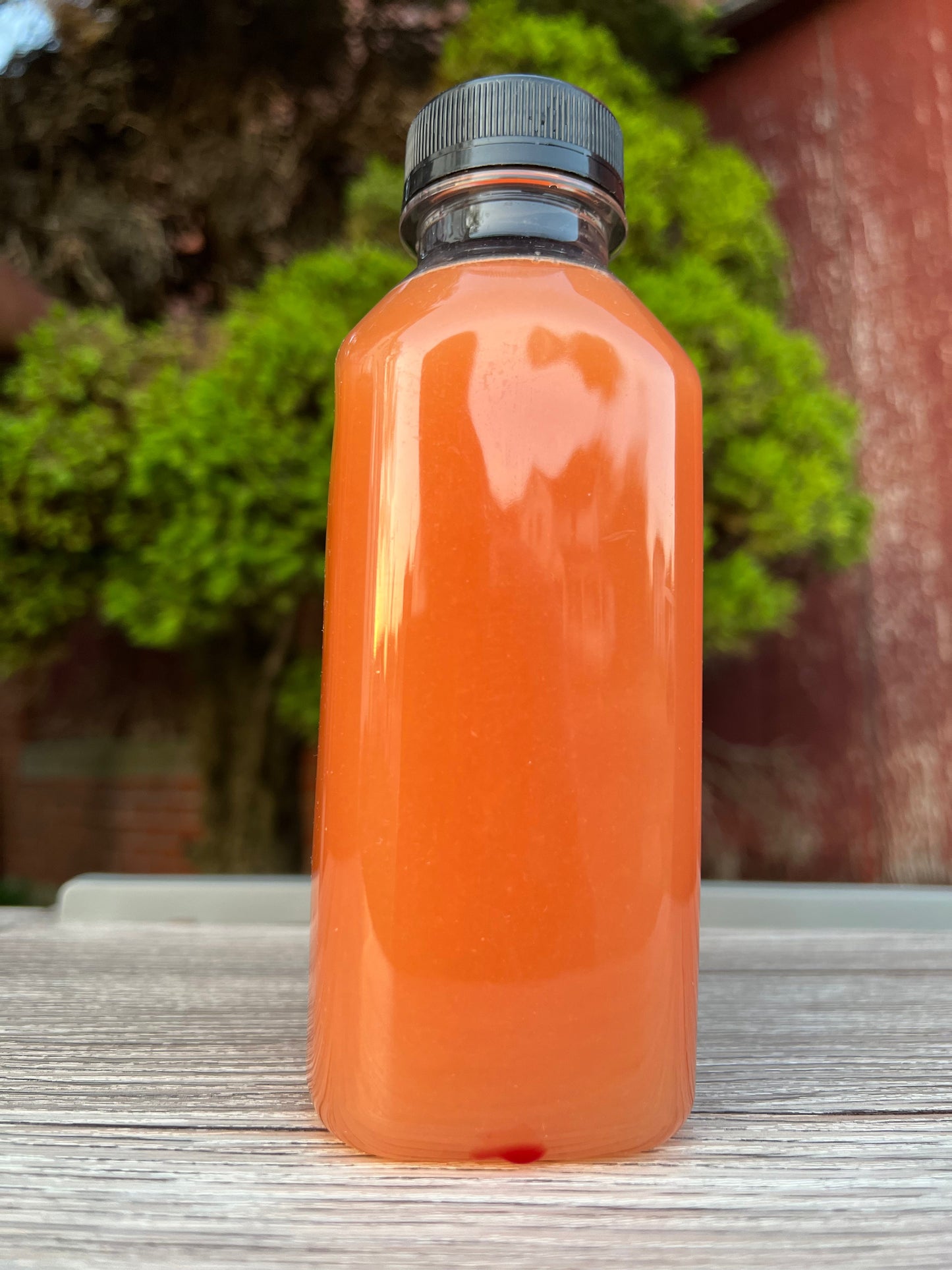 Bloating relief Juice- Organic - Concordia Style Boutique