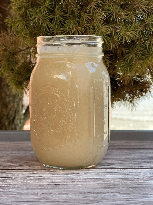 Wildcrafted Plain Sea moss Gel - Concordia Style Boutique