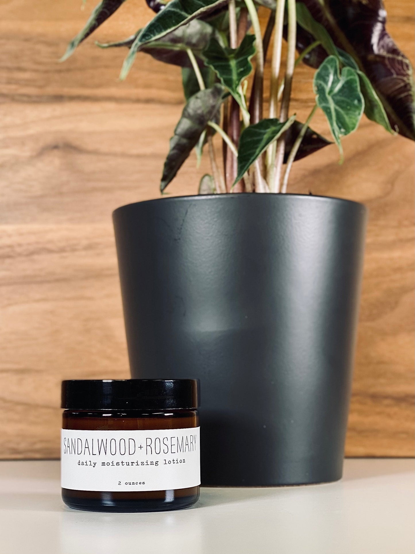 Daily Moisturizing Lotion - Woodsy - Concordia Style Boutique