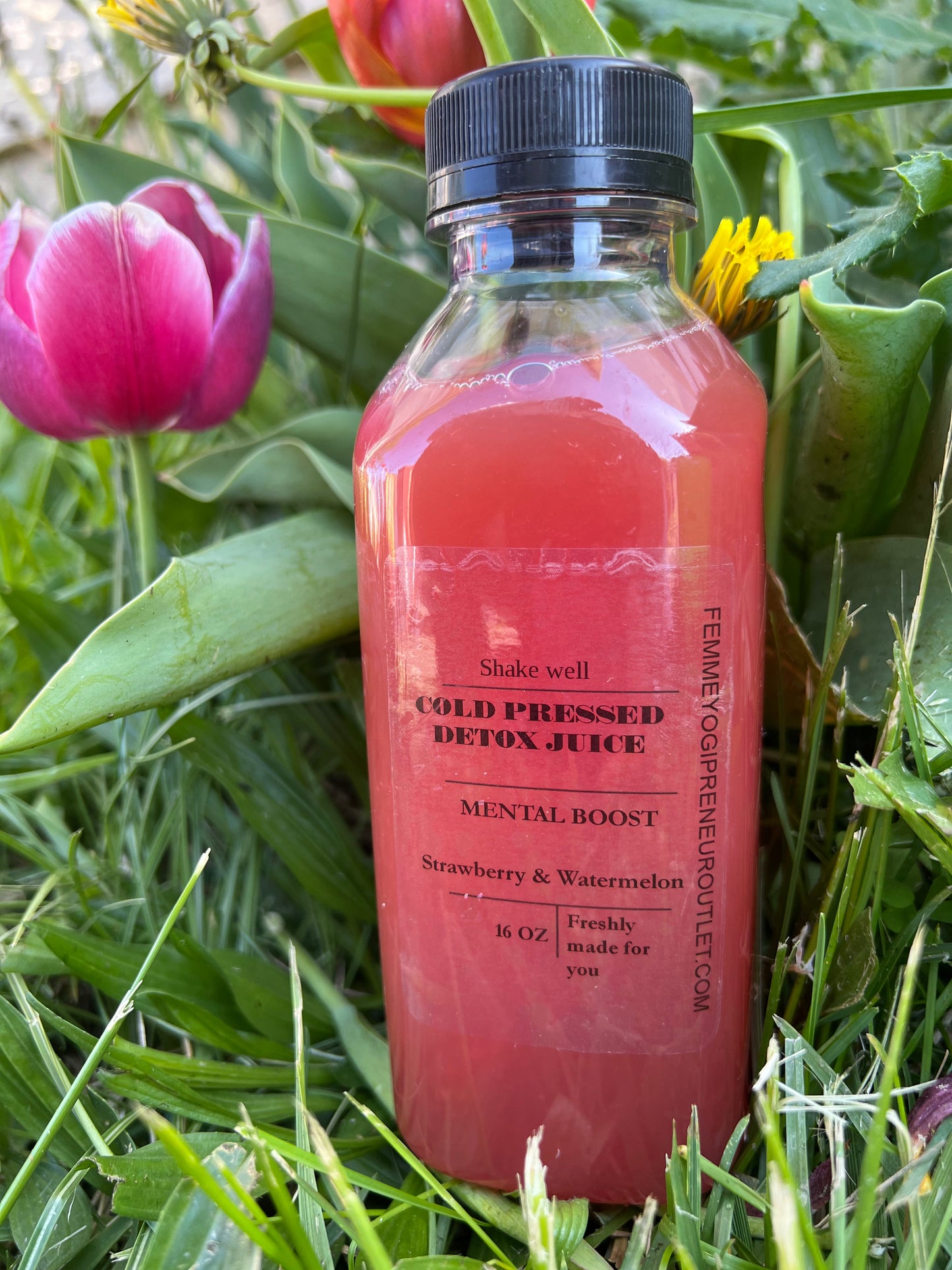 Seven Day Juice Cleanse- Pack of 21 - Concordia Style Boutique
