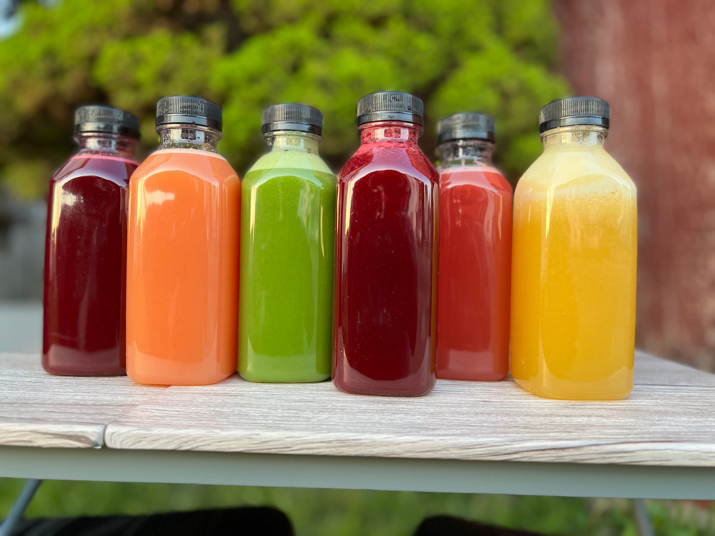 Bloating relief Juice- Organic - Concordia Style Boutique