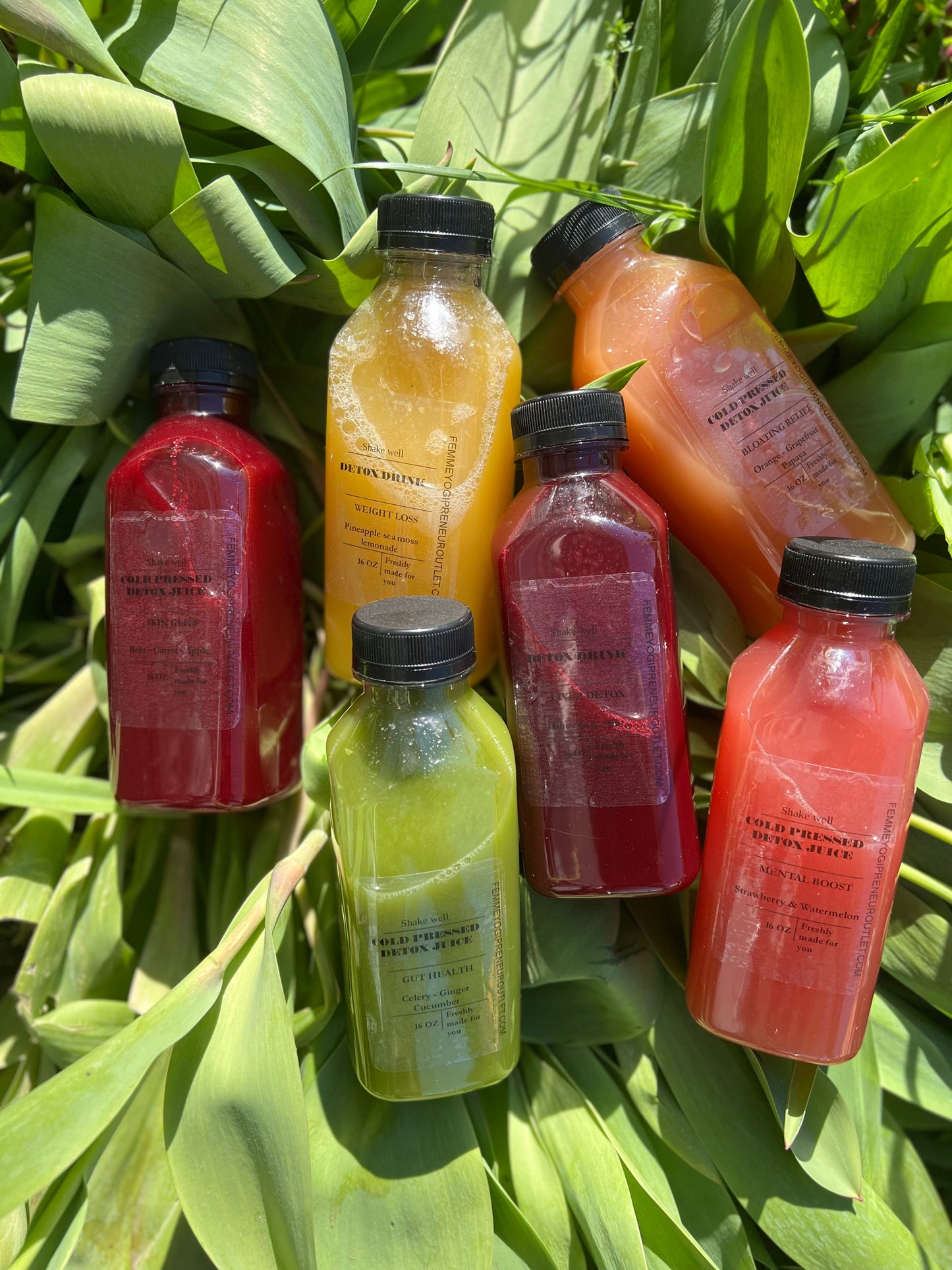 Three Day Juice Cleanse - Pack of 6 - Concordia Style Boutique