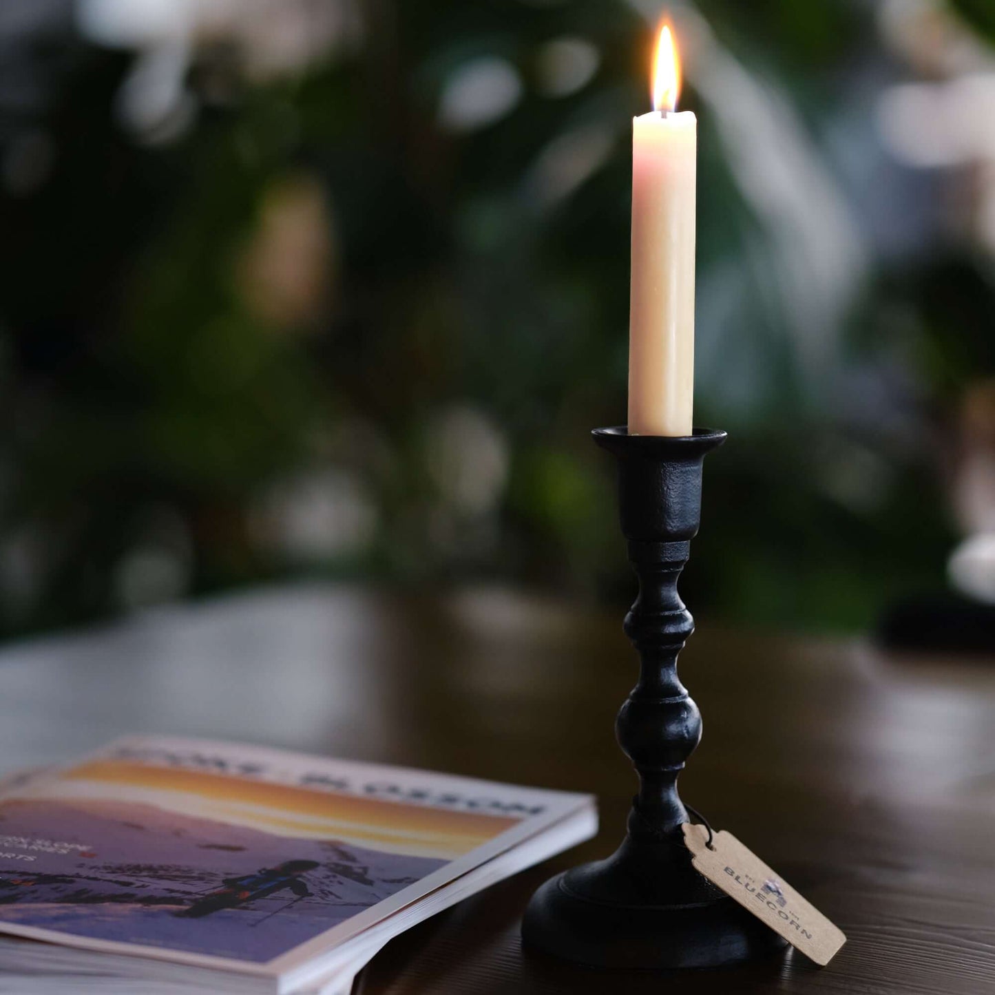 Hand-Dipped Beeswax Taper Candles - Bulk 4-Pair Bundle - Concordia Style Boutique